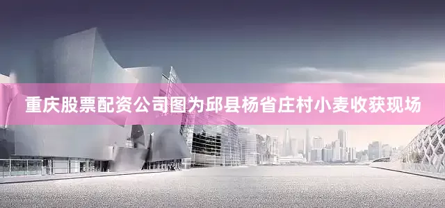 重庆股票配资公司图为邱县杨省庄村小麦收获现场