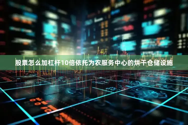 股票怎么加杠杆10倍依托为农服务中心的烘干仓储设施