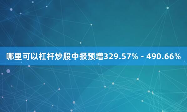 哪里可以杠杆炒股中报预增329.57% - 490.66%