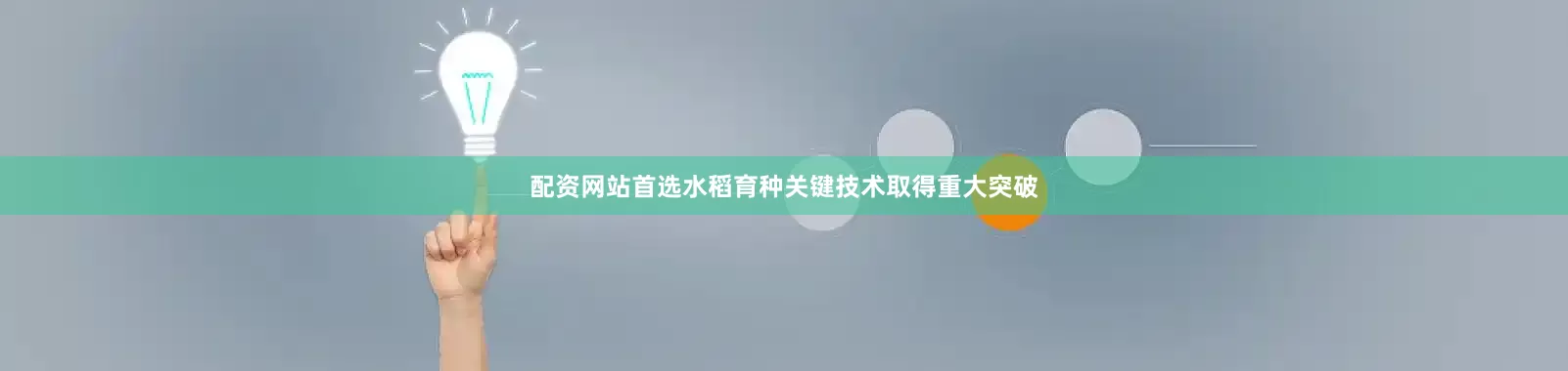 配资网站首选水稻育种关键技术取得重大突破